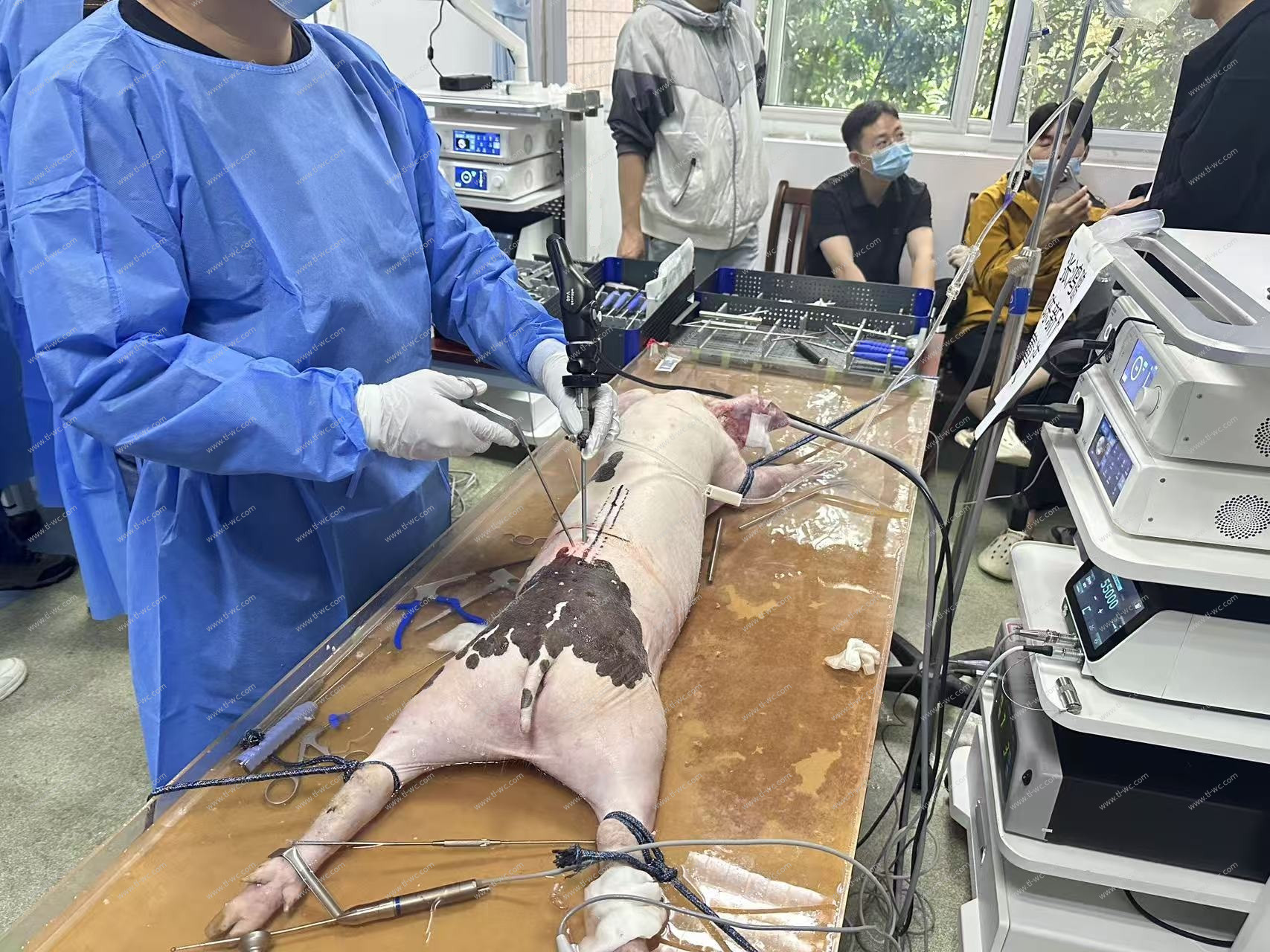 UBE Surgery Practical Training-Anhui Zone